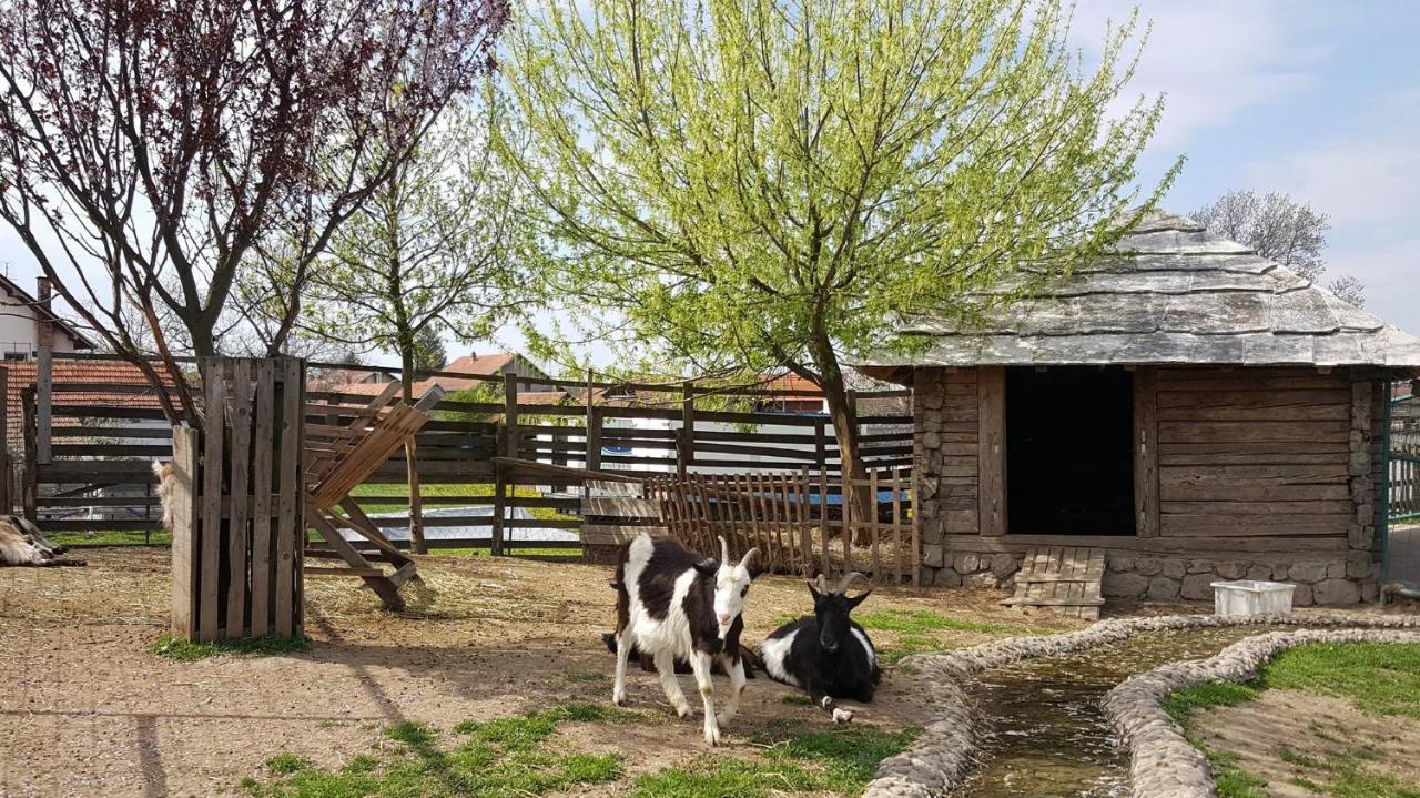 Ethno Village Stanisici ビイェリナ エクステリア 写真