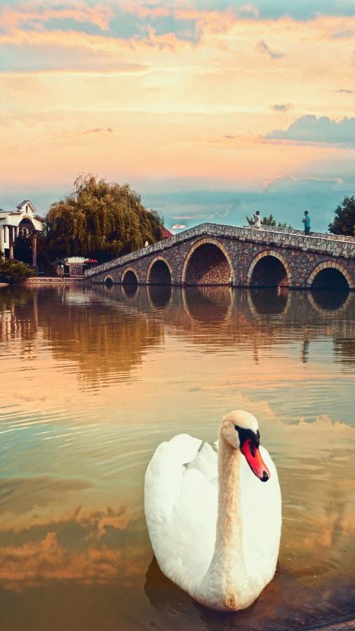 Ethno Village Stanisici ビイェリナ エクステリア 写真